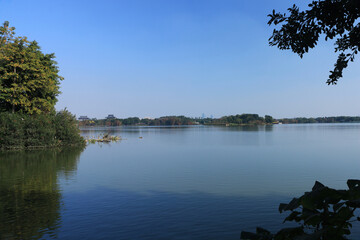 Fototapeta na wymiar reflection of trees on the lake