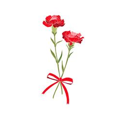 carnation bouquet painting. Hand-drawn vector illustration. Two flowers.