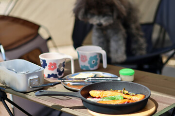 トイプードルを連れて女子キャンプ　青い海・美しいビーチでのんびり島キャンプ　キャンプ料理や愛犬と休日を楽しむ女性　海の見えるキャンプ
