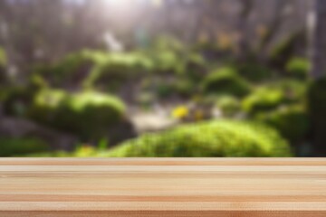 Rustic wooden texture tree on blur forest background