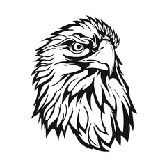 eagle head vector illustration. Sketch