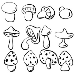 Mushrooms set outline, doodle mushrooms of various shapes and sizes for creativity