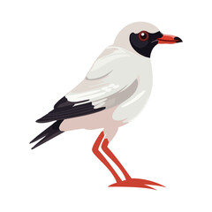 tropical bird on white background