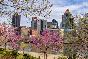 Pittsburgh in the Spring