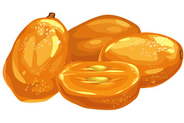 Dried kumquat vector icon , sugared citrus fruits 