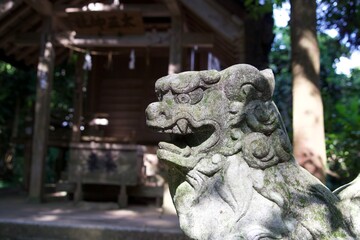 Fototapeta na wymiar Small stone guardian dogs of keta grand shrine seen from the side