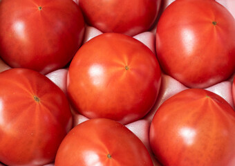 Fototapeta na wymiar フレッシュトマトの整列群、横長フレーム