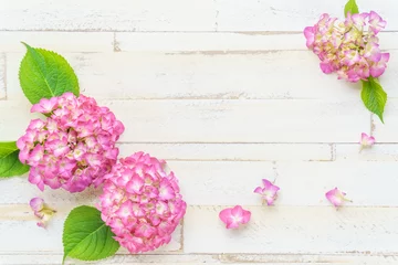 Kissenbezug ピンクの紫陽花のフラワーフレーム © kasa