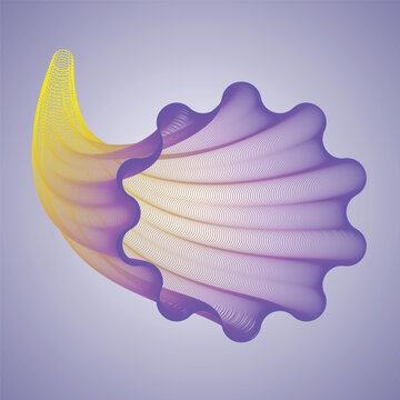 shell background