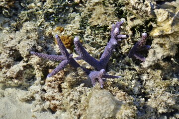 Reaching out
