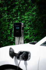 Side view of progressive electric vehicle parking next to public charging station with greenery,...