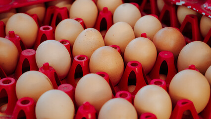 Freshly picked eggs nestled in a basket, bringing farm-to-table goodness straight from the bustling market.