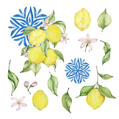 Watercolor juicy lemon and leaves, mediterranean illustration