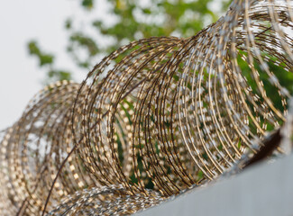 Obraz premium Barbed wire fences around the prison prevent prisoners from escaping.