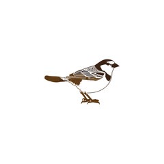 beautiful sparrow wild bird vector artwork illustration