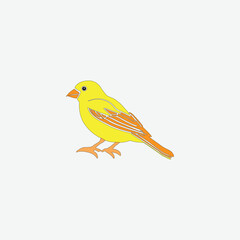 a beautiful yellow wild bird outline art drawing illustration