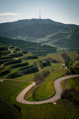 Kurve in den Weinbergen