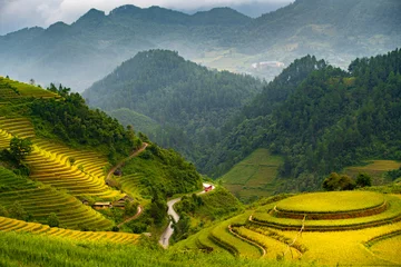 Fotobehang Golden terraces rice fields in Mu Cang Chai, Lao Cai province,  Vietnam © Moon Cactus