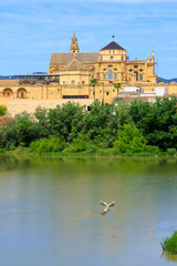 Travel in Spain- Cordoba city landscape in Andalusia