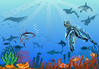 Underwater scene with coral reefs and exotic fish.vector hand drawn sea turtle life elements