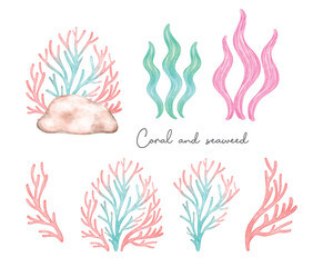 Cute colorful coral reef and seaweed pastel watercolor collection, cartoon children hand painting illustration © Natsicha