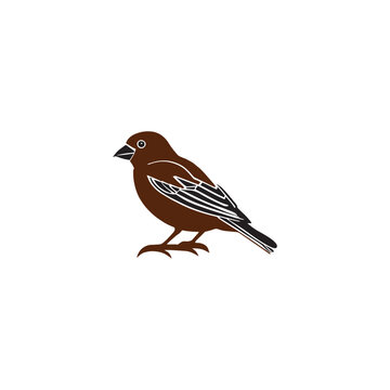 recommend clip art:  sparrow brown bird silhouette drawing illustration