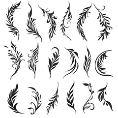 Vector Hand Drawn Calligraphic Divider. Flourishes Set. Decorative Design Elements.