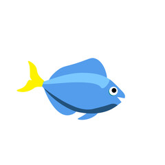 Fish Illustration