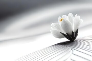 Trauerkarte  in schwarz-weiß - weiße Blume, Platz für Beschriftung