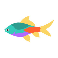 Fish Illustration