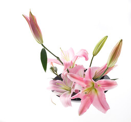 ゆり　白バック　　スタジオ撮影