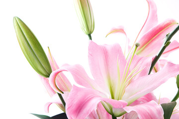 ゆり　白バック　　スタジオ撮影