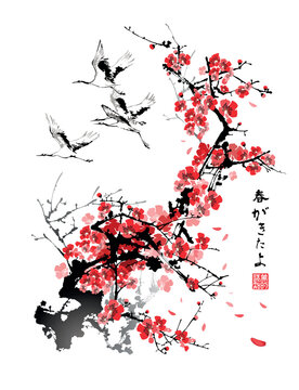 A flock of cranes on a background of cherry blossoms. Vector illustration in traditional oriental style. Text - "Spring came", "Perception of Beauty".