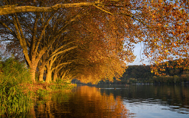 Baldeney lake, Essen, North Rhine Westphalia, Germany