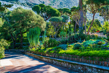 La Alameda botanical garden in Gibraltar town, UK - obrazy, fototapety, plakaty