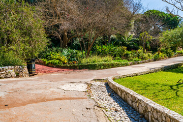 Fototapeta na wymiar La Alameda botanical garden in Gibraltar town, UK
