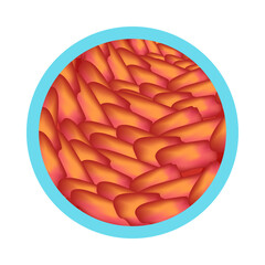 Gastritis Symptom Icon