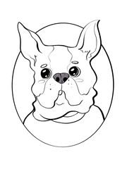 contour line illustration cartoon style animal portrait cute french bulldog coloring postcard child cover packaging design element