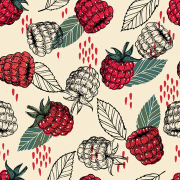 Seamless vintage pattern with raspberry berry. Hand drawn raspberries pattern on beige background. For fabric, drawing labels, print, wallpaper of children's room, fruit background