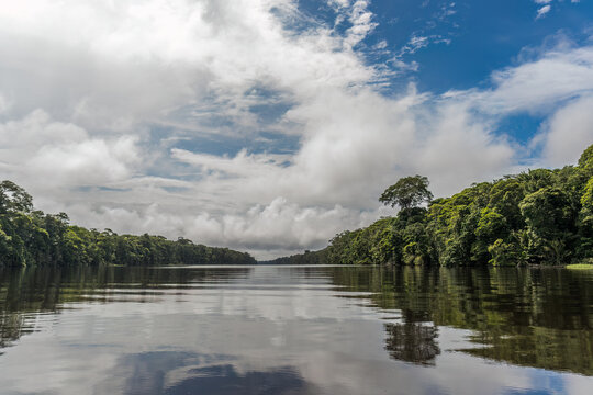 Blick vom River Tempisque zum Nationalpark Palo Verde Costa Rica
