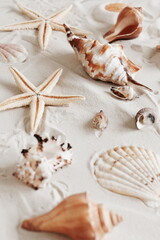 Fototapeta na wymiar Seashells on sandy beach texture background fine art poster. .Neutral colors toned. Selective focus.