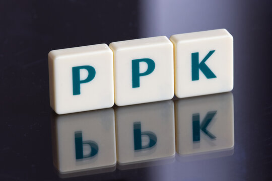 PPK ( Pracownicze Plany Kapitałowe letters on polish zloty banknotes. PPK is a Employee Capital Plans private savings retirement plan in Poland contributed to by the employer and the state.