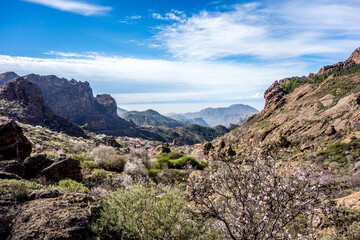 Fototapeta na wymiar Walking to Pico de las Nieves on the island of Gran Canaria, Canary Islands, Spain