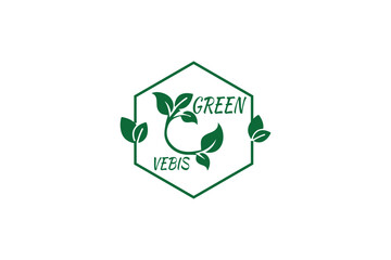 eco friendly  logo green leaf  and and symbol of leaf recycle icon