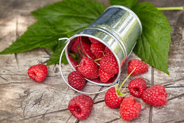 Fresh ripe raspberries in a metal small bucket on a wooden old table.