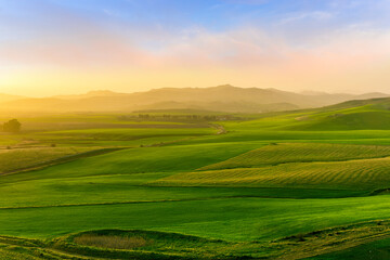 beautiful green valley with green fields with green spring grass with nive hills and mountains and scrnic colorful cloudy sunset on background of landscape