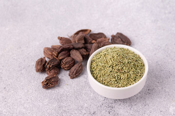 Indian spices and seasonings - cardamom, rosemary, copy space