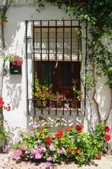 Fototapeta na wymiar Ventana rodeada de flores en el Barrio de la Villa, Priego de Cordoba