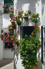 Calles estrechas con flores en el Barrio de la Villa, Priego de Cordoba