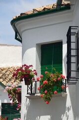 Fototapeta na wymiar Balcón con flores en Priego de Cordoba